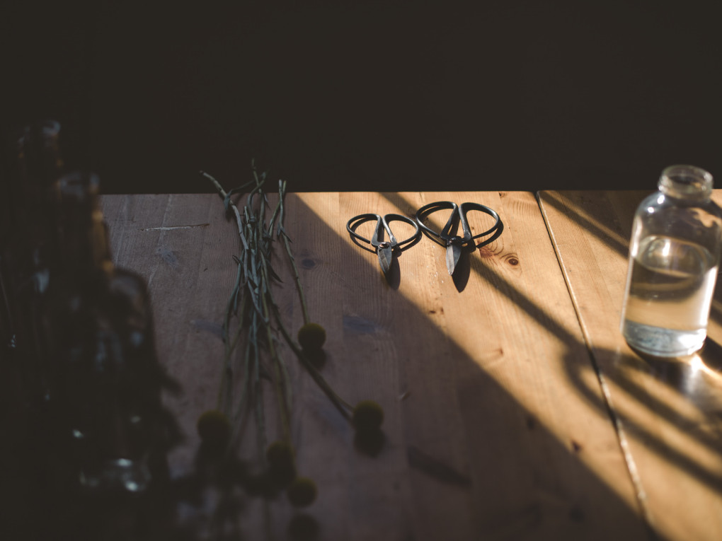 Flores e os seus amores / Flowers and their loved ones