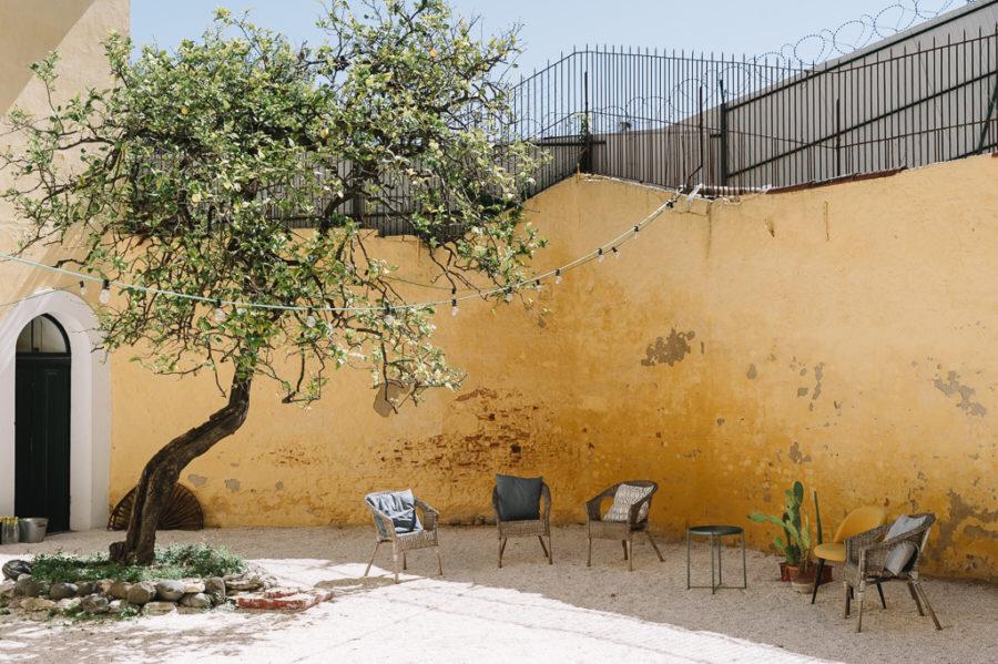 WhatsApp Image 2019-02-07 at 03.52.59