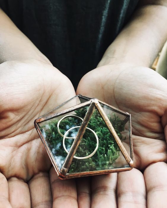 e72697f547d84537ab87fd486d1fb3cb